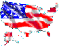 USA Map Flag